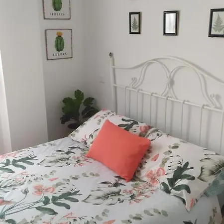 Apartamento El Haya *