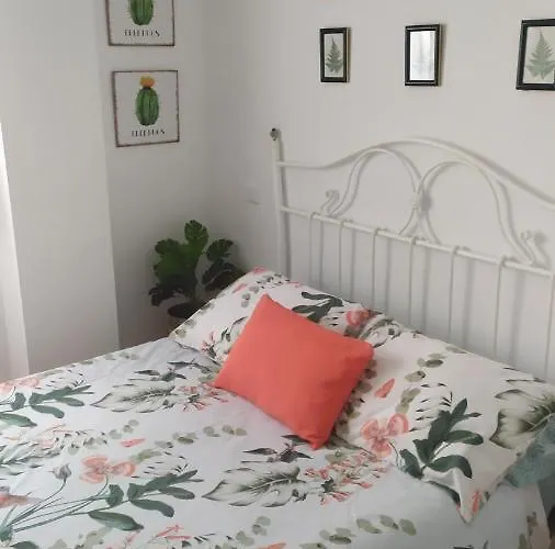 Apartamento El Haya *